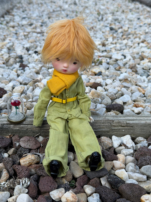 Little Princess 1/6 BJD full set